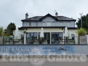 Picture of The Racehorse