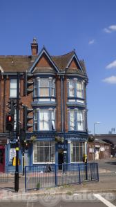 Picture of Big Bulls Head