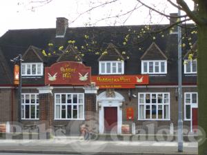 Picture of Hare & Hounds