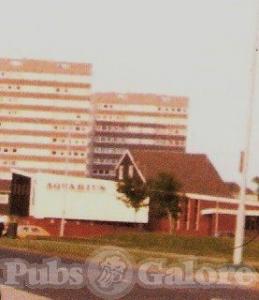 Picture of The Bluebell