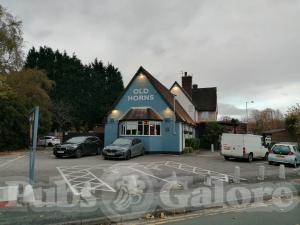 Picture of The Old Horns