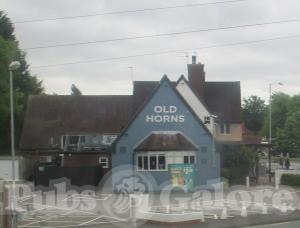 Picture of The Old Horns