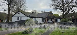 Picture of The Oak Tree