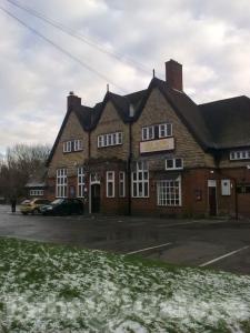 Picture of The Raven
