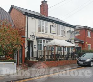 Picture of White Horse