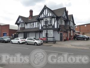 Picture of The Yew Tree