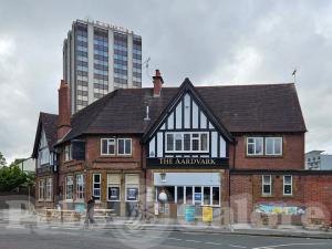 Picture of The Aardvark