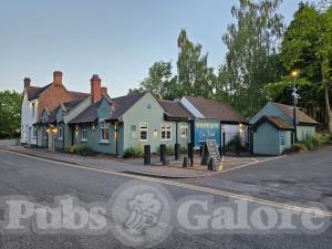 Picture of The White Lion