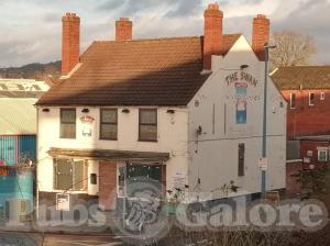 Picture of The Swan