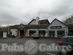 Picture of The Lutley Oak