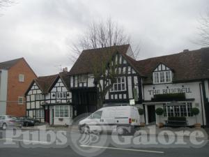 Picture of The Bluebell