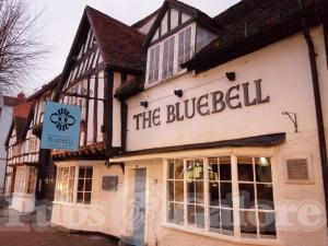 Picture of The Bluebell