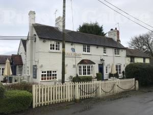 Picture of Bull's Head