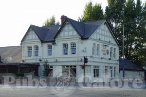 Picture of The Gospel Oak
