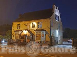 Picture of The Swan