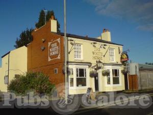 Picture of The White Horse