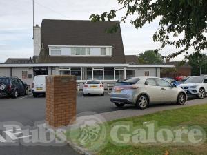 Picture of Yew Tree