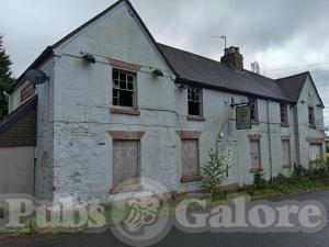 Picture of The Hollybush Inn