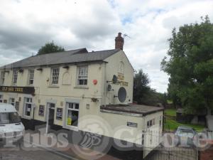 Picture of The Old Ash Tree