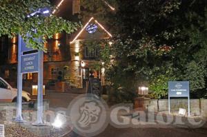 Picture of Goodwin's