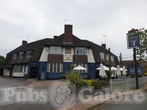 Picture of The Roebuck