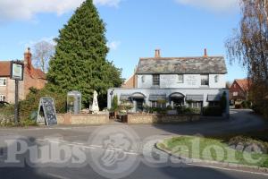 Picture of The Hollytree Inn