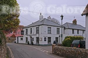 Picture of The Thatched House