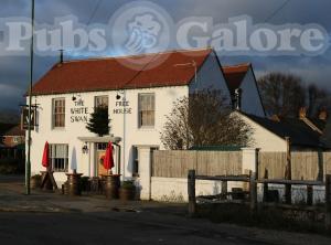Picture of The White Swan