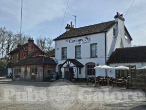 Picture of The Curious Pig in the Parlour
