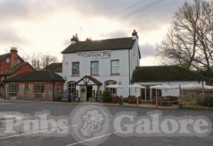Picture of The Curious Pig in the Parlour