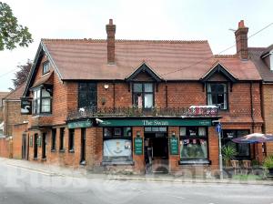 Picture of The Swan