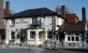 Picture of The White Horse
