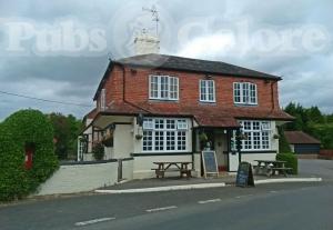 Picture of The Mucky Duck