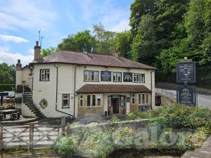 Picture of Brown Cow