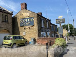 Picture of Spotted Cow