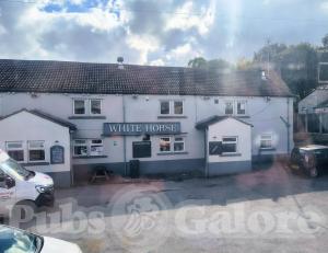 Picture of White Horse