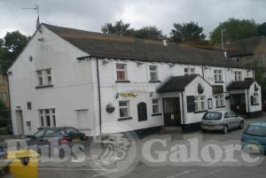 Picture of White Horse