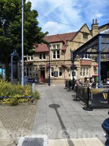 Picture of Black Bull