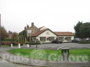 Picture of The Bay Horse