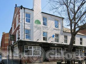 Picture of The Green Tree