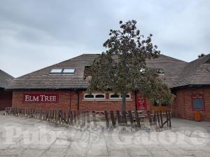 Picture of The Elm Tree