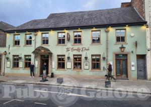 Picture of The Scruffy Duck