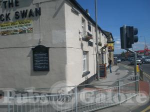 Picture of The Black Swan
