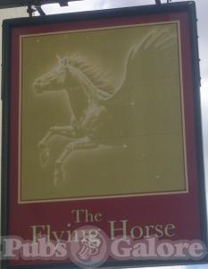 Picture of Flying Horse