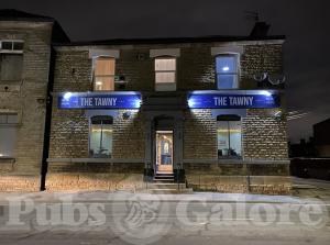 Picture of The Tawny