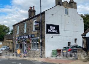 Picture of Bay Horse