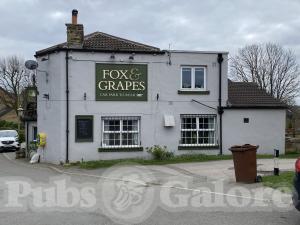 Picture of Fox & Grapes