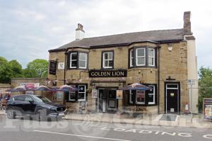 Picture of The Golden Lion