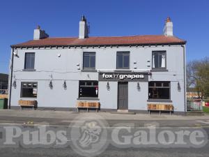 Picture of Fox 'n' Grapes