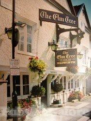 Picture of Elm Tree Hotel